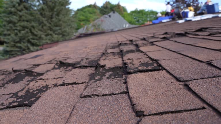 Best Emergency Roof Repair Services  in Sweet Home, OR